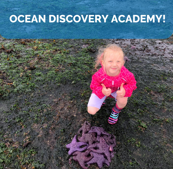 Ocean Discovery Academy