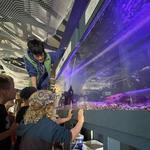 The Discovery Passage Aquarium is Hiring! DPAquarium