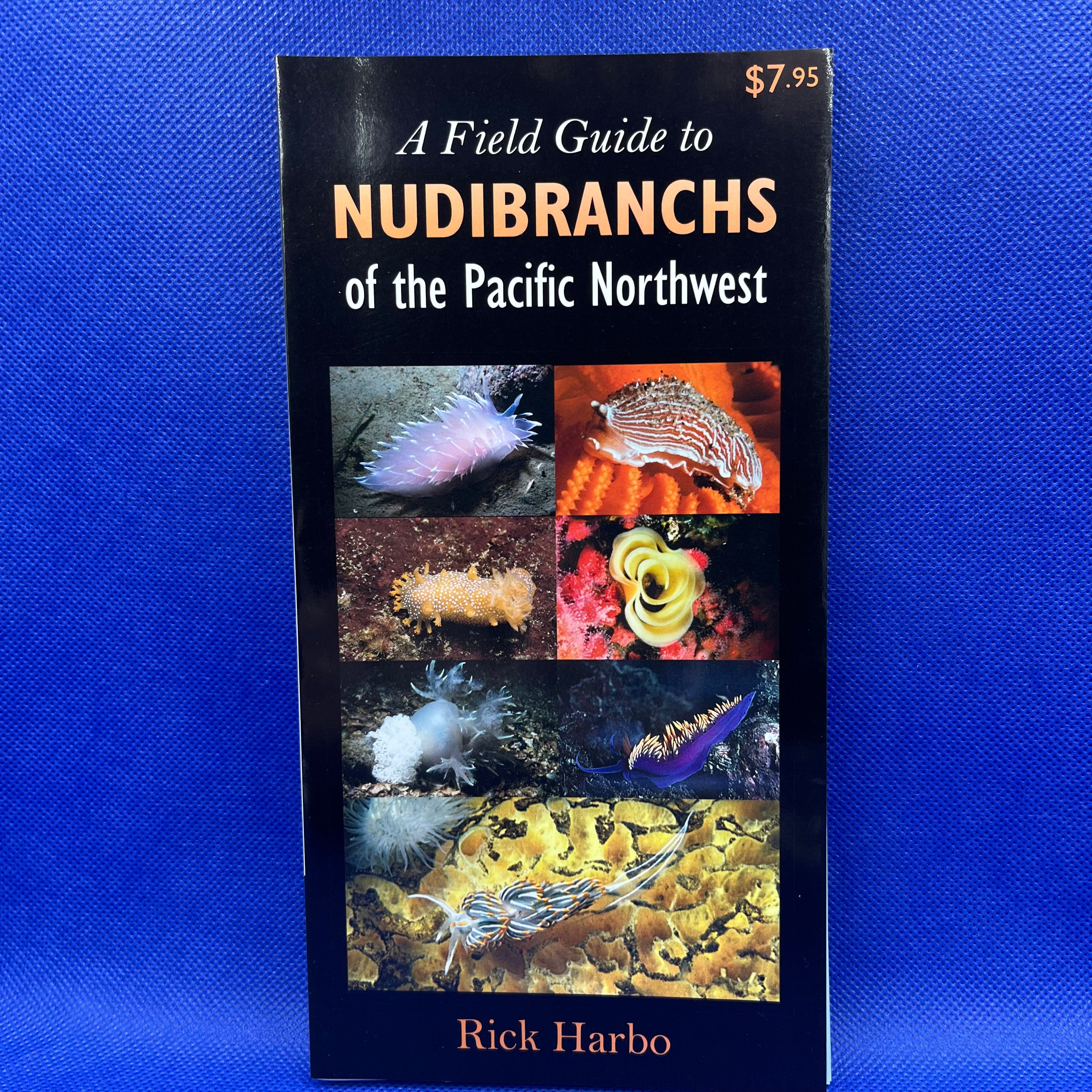 Field Guide - Nudibranchs of the Pacific Northwest – DPAquarium
