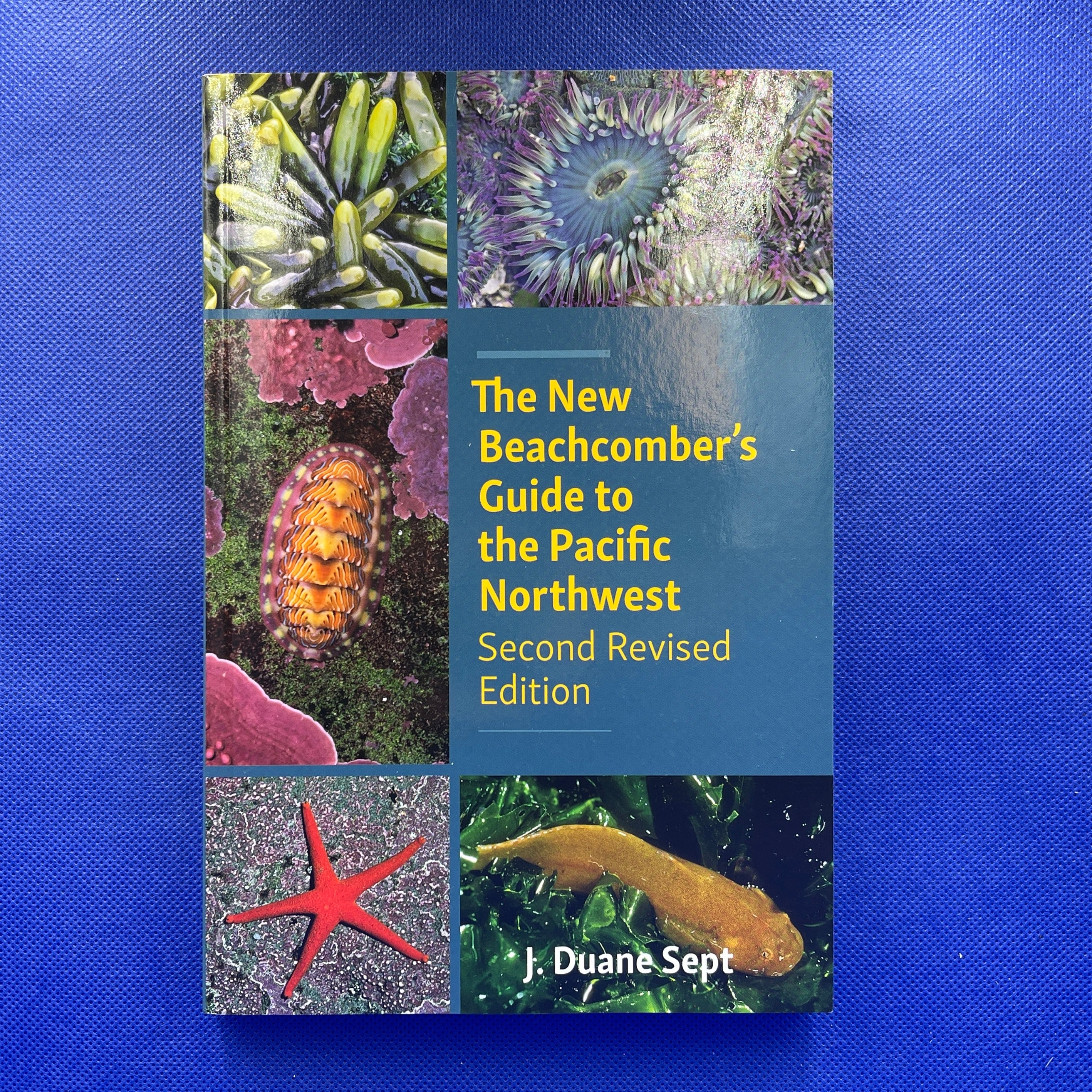 Book - The New Beachcomber's Guide to the Pacific Northwest – DPAquarium