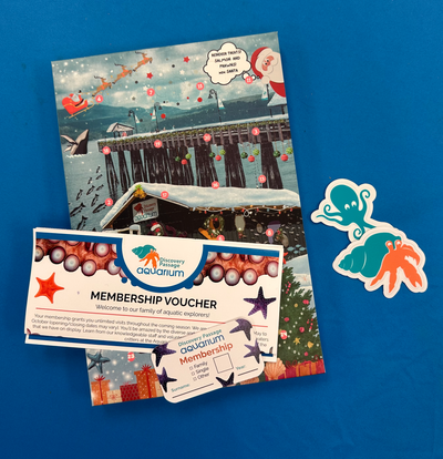 Give the Gift of Wonder: Aquarium Christmas Gift Packages &amp; Advent Calendars Are Here!