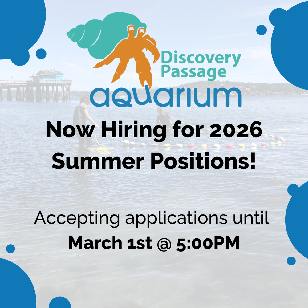 Now Hiring for 2026 Summer Positions! – DPAquarium