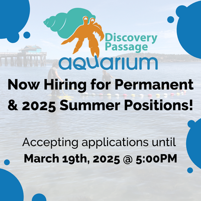 Now Hiring for Permanent and Summer 2025 Positions!