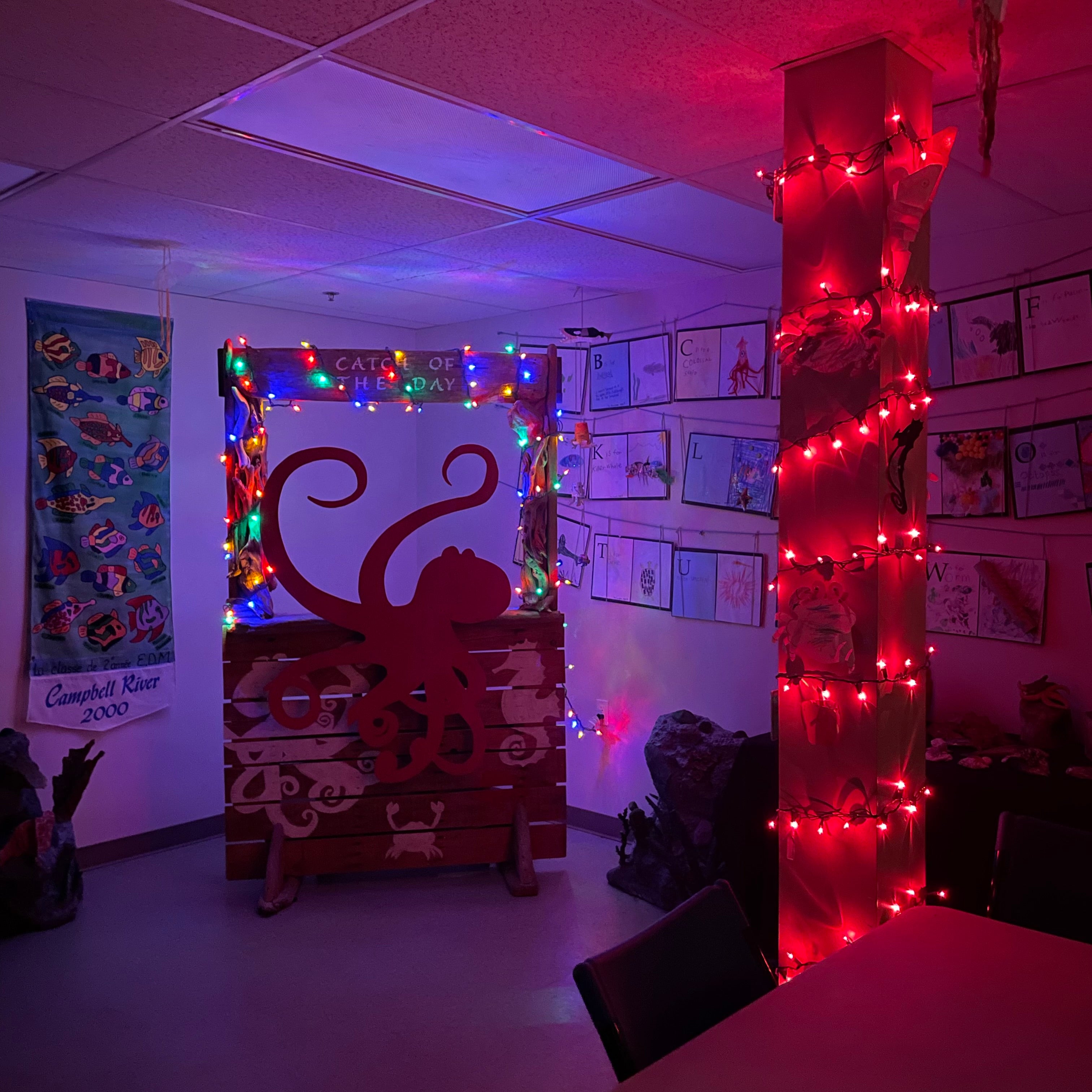 Explorer Lab OPEN This Weekend DPAquarium