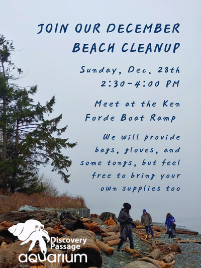 December Beach Cleanup