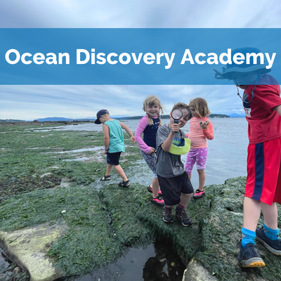 Ocean Discovery Academy 2023