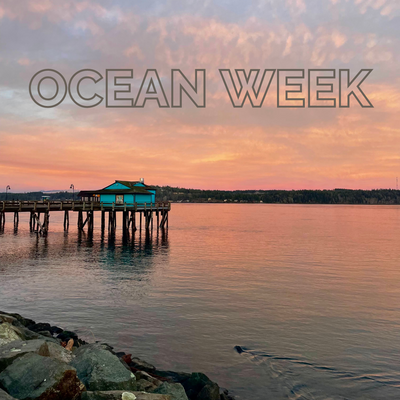 Campbell River Ocean Week 2023
