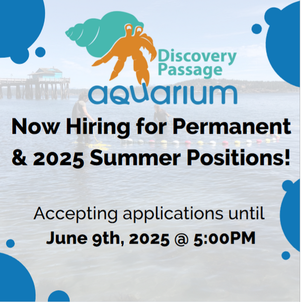 Now Hiring for Summer 2025 Positions!