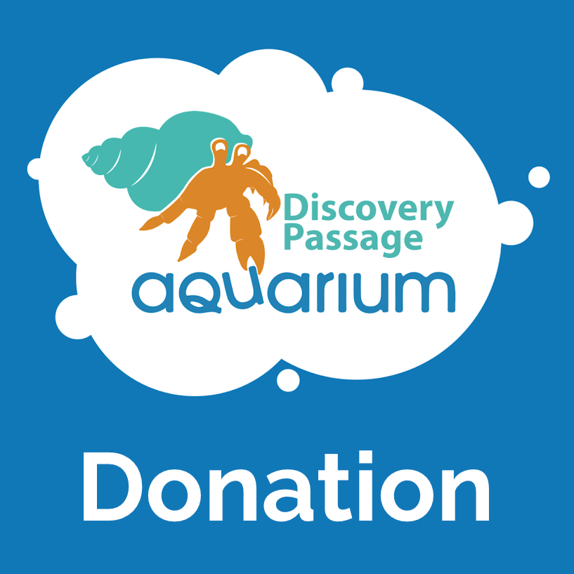 Aquarium Donation DPAquarium
